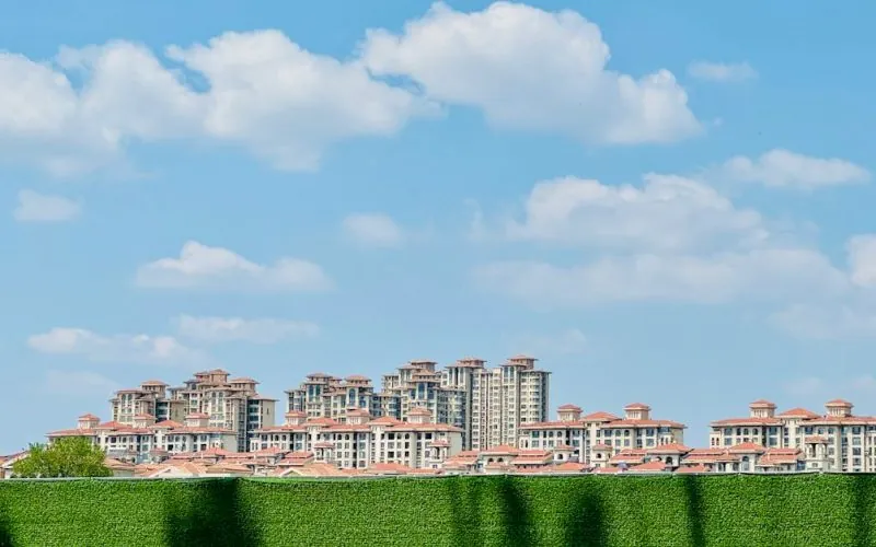 image_6820a11c147df2.78416133-1