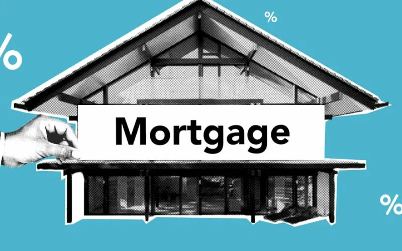 image_6820a13186ce20.80345591-1